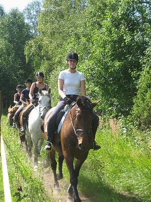 leiriAIKUIS2...08 111.jpg - Leiril�isi� maastok�velyll�